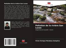 Portada del libro de Pollution de la rivière San Lucas