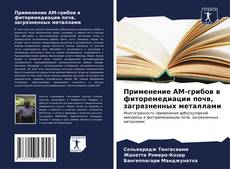 Capa do livro de Применение АМ-грибов в фиторемедиации почв, загрязненных металлами 