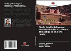 Bookcover of Étude épidémiologique prospective des accidents domestiques en zone rurale