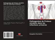 Couverture de Pathogenèse de Proteus mirabilis dans les infections urinaires