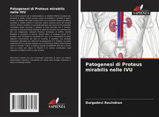 Copertina di Patogenesi di Proteus mirabilis nelle IVU