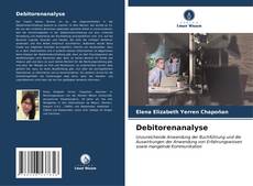 Buchcover von Debitorenanalyse