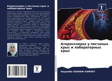 Bookcover of Атеросклероз у песчаных крыс и лабораторных крыс