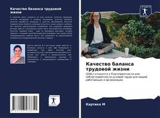 Bookcover of Качество баланса трудовой жизни