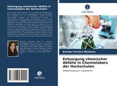 Copertina di Entsorgung chemischer Abfälle in Chemielabors der Hochschulen