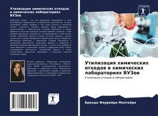 Portada del libro de Утилизация химических отходов в химических лабораториях ВУЗов