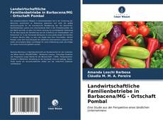 Buchcover von Landwirtschaftliche Familienbetriebe in Barbacena/MG - Ortschaft Pombal