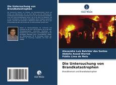Capa do livro de Die Untersuchung von Brandkatastrophen 