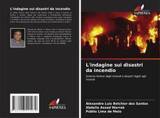 Copertina di L'indagine sui disastri da incendio