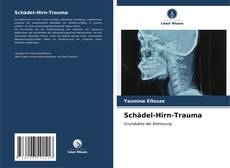 Buchcover von Schädel-Hirn-Trauma