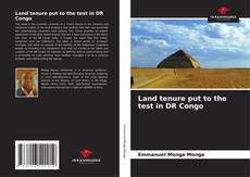 Bookcover of Land tenure put to the test in DR Congo