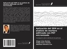 Bookcover of Aplicación del SEM en el análisis de mortero aditivado con PET micronizado
