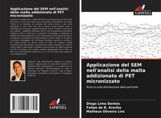 Copertina di Applicazione del SEM nell'analisi della malta addizionata di PET micronizzato