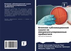 Buchcover von Влияние сублимационной сушки на микрокапсулированные пробиотики