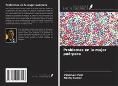 Capa do livro de Problemas en la mujer puérpera 