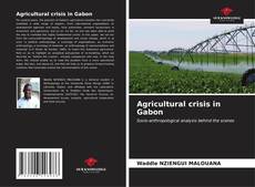 Capa do livro de Agricultural crisis in Gabon 