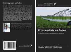 Buchcover von Crisis agrícola en Gabón