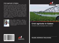 Buchcover von Crisi agricola in Gabon