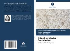 Bookcover of Interdisziplinäre Sozialarbeit