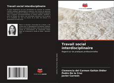 Travail social interdisciplinaire kitap kapağı