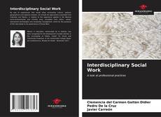 Capa do livro de Interdisciplinary Social Work 