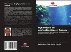 Dynamique du phytoplancton en Angola的封面