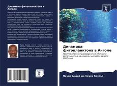 Bookcover of Динамика фитопланктона в Анголе