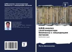 Bookcover of ЦФД-анализ газогенератора биомассы с нишодящим потоком