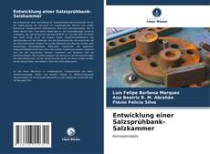 Buchcover von Entwicklung einer Salzsprühbank-Salzkammer