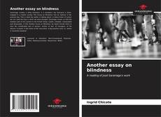 Another essay on blindness kitap kapağı