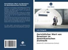 Gerichtlicher Wert von Beweisen im dominikanischen Zivilrecht kitap kapağı