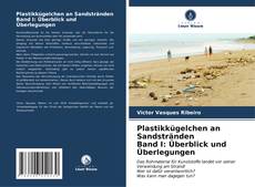 Plastikkügelchen an Sandstränden Band I: Überblick und Überlegungen kitap kapağı