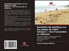 Boulettes de plastique sur les plages de sable Volume I : Vue d'ensemble et réflexion kitap kapağı