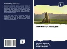 Buchcover von Ламинит у лошадей