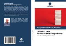 Umwelt- und Sozialrisikomanagement: kitap kapağı