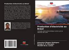 Buchcover von Production d'électricité au Brésil