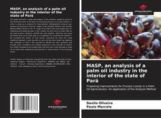 Buchcover von MASP, an analysis of a palm oil industry in the interior of the state of Pará
