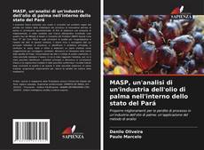 Buchcover von MASP, un'analisi di un'industria dell'olio di palma nell'interno dello stato del Pará