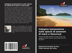 Borítókép a  Indagine tassonomica sulle specie di anemoni di mare a Itacuruçá - hoz
