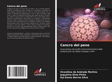 Buchcover von Cancro del pene