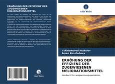 Bookcover of ERHÖHUNG DER EFFIZIENZ DER ZUGEWIESENEN MELIORATIONSMITTEL