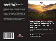 Portada del libro de AMÉLIORER L'EFFICACITÉ DES FONDS ALLOUÉS À LA MISE EN VALEUR DES TERRES