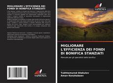 Обложка MIGLIORARE L'EFFICIENZA DEI FONDI DI BONIFICA STANZIATI