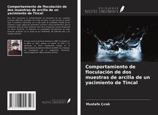 Bookcover of Comportamiento de floculación de dos muestras de arcilla de un yacimiento de Tincal
