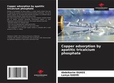 Copertina di Copper adsorption by apatitic tricalcium phosphate