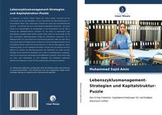 Lebenszyklusmanagement-Strategien und Kapitalstruktur-Puzzle kitap kapağı