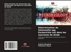 Buchcover von Détermination de Salmonella spp Escherichia coli dans les saucisses de dinde