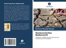 Bookcover of Kamerunisches Bodenrecht