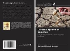 Bookcover of Derecho agrario en Camerún