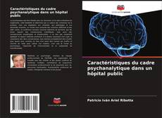 Bookcover of Caractéristiques du cadre psychanalytique dans un hôpital public